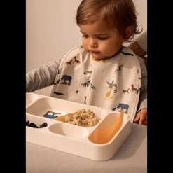 Assiette à Compartiments MOSU