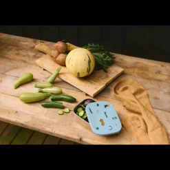 Boîte à Déjeuner ARTHUR