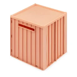 Boîte de Rangement avec Couvercle ELIJAH