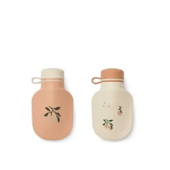 Lot de 2 bouteilles de smoothie Lizzie
