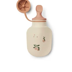 Lot de 2 bouteilles de smoothie Lizzie