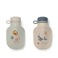Lot de 2 bouteilles de smoothie Lizzie