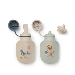 Lot de 2 bouteilles de smoothie Lizzie