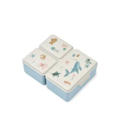 Lunch Box Driss