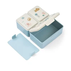 Lunch Box Driss