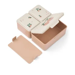 Lunch Box Driss
