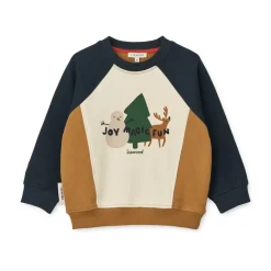 Sweatshirt Placement Aude
